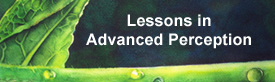 Lessons in Advanced Perception banner