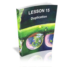 Lesson 15 - Duplication