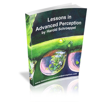 Lessons in Advanced Perception by Harold Schroeppel